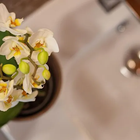 Bed & Breakfast Corte Degli Ostinati