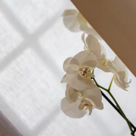 Corte Degli Ostinati Bed & Breakfast *